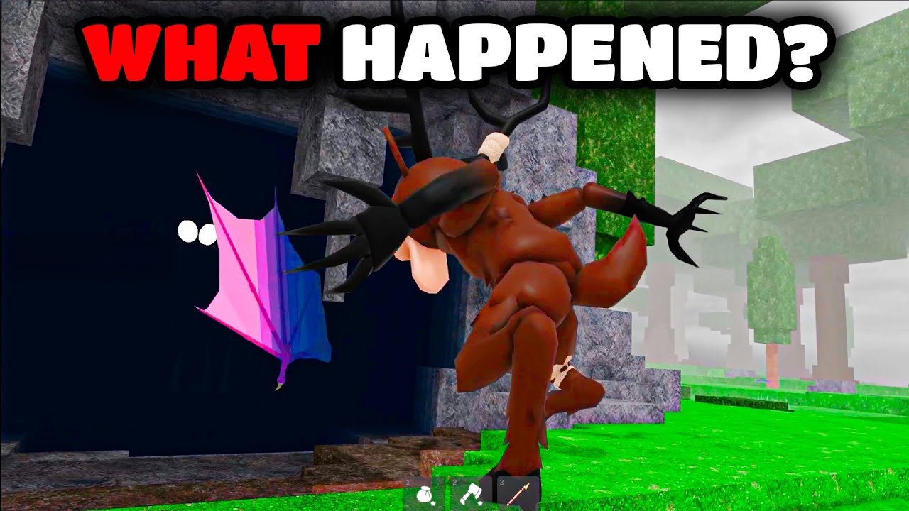 What Actually Happened With The Deer?