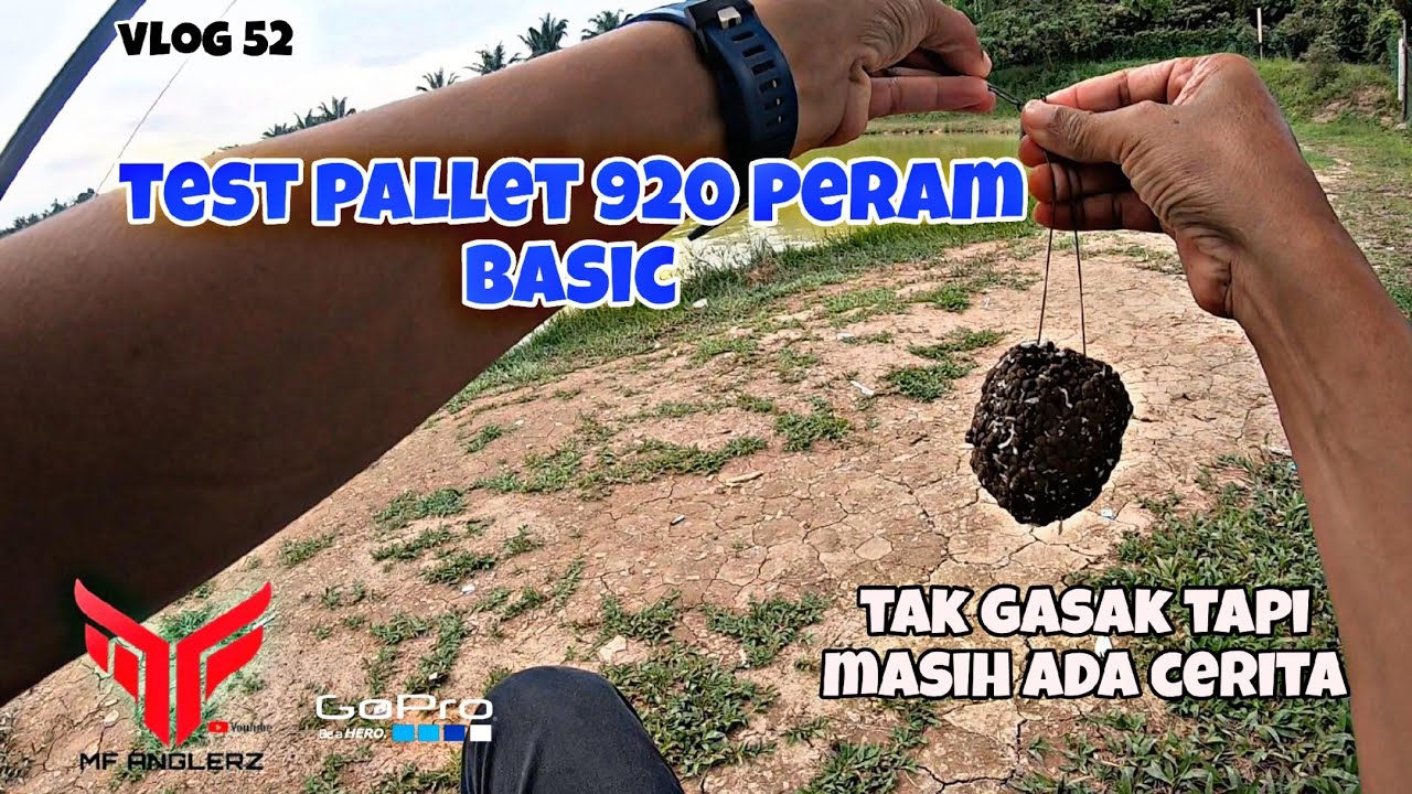 PALLET 920 PERAM BASIC ADA CERITA | PACAK PATIN KOLAM | UMPAN PALLET #VLOG52