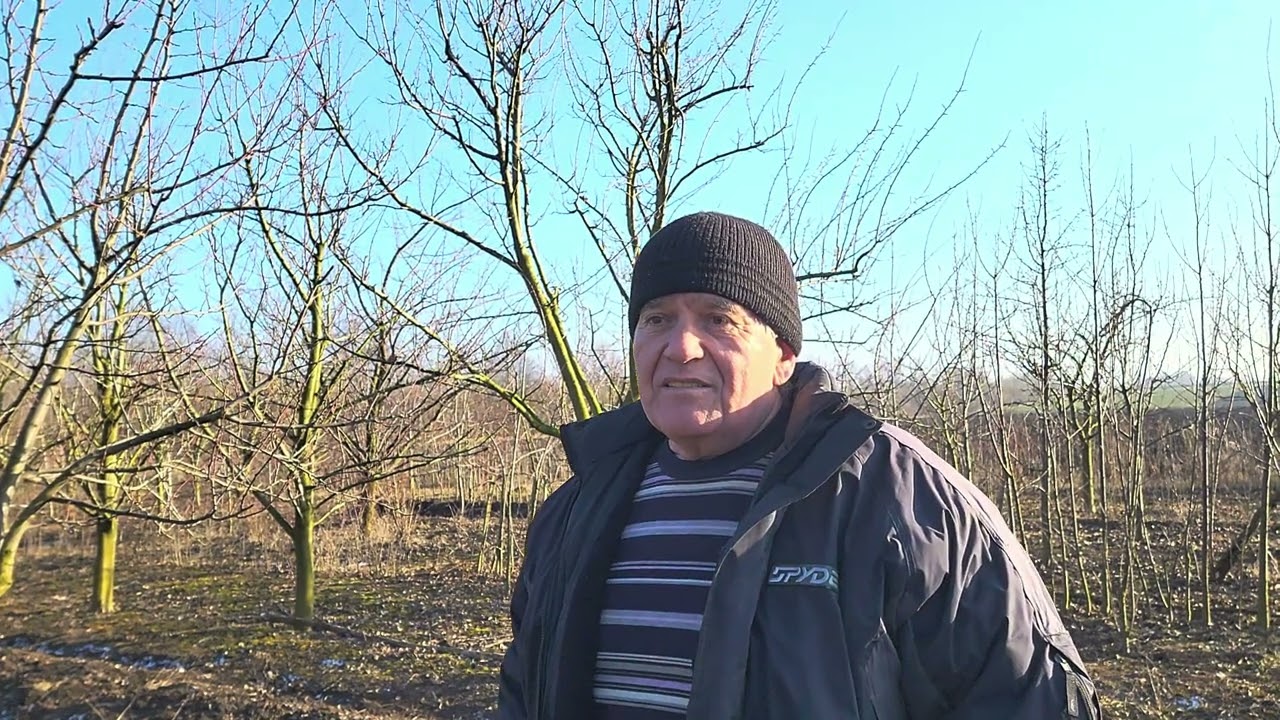 Коли проводити обрізку кісточкових культур  Підготовка до ранньовеснянного оприскування саду
