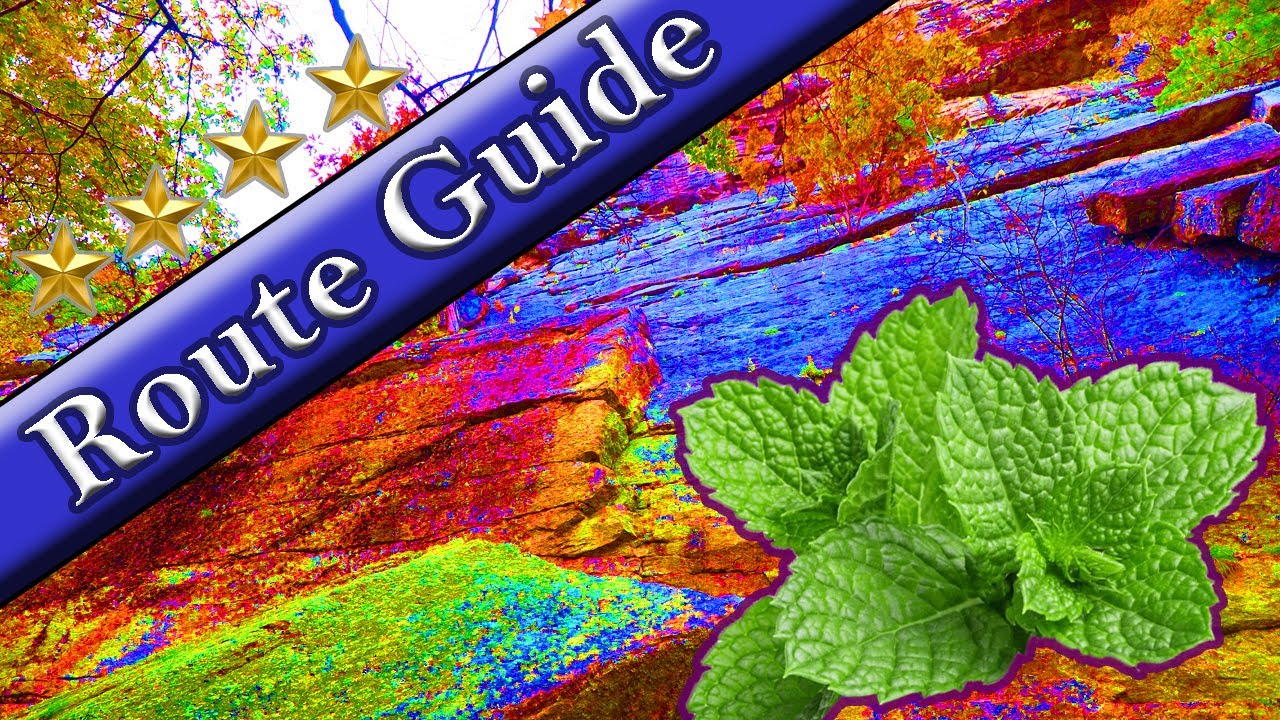 Minty 5.4 G⭐⭐⭐⭐ POV Trad Climb Lead Beta , Shawangunk Mountains ( The Gunks ), New York