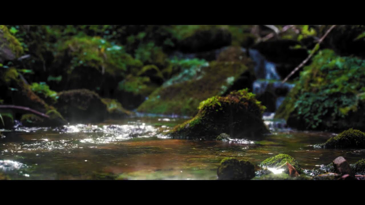 Nature Sounds of Black Forest #9: Magic Splashing Creek to Study,  Focus, Meditate, Calm Down