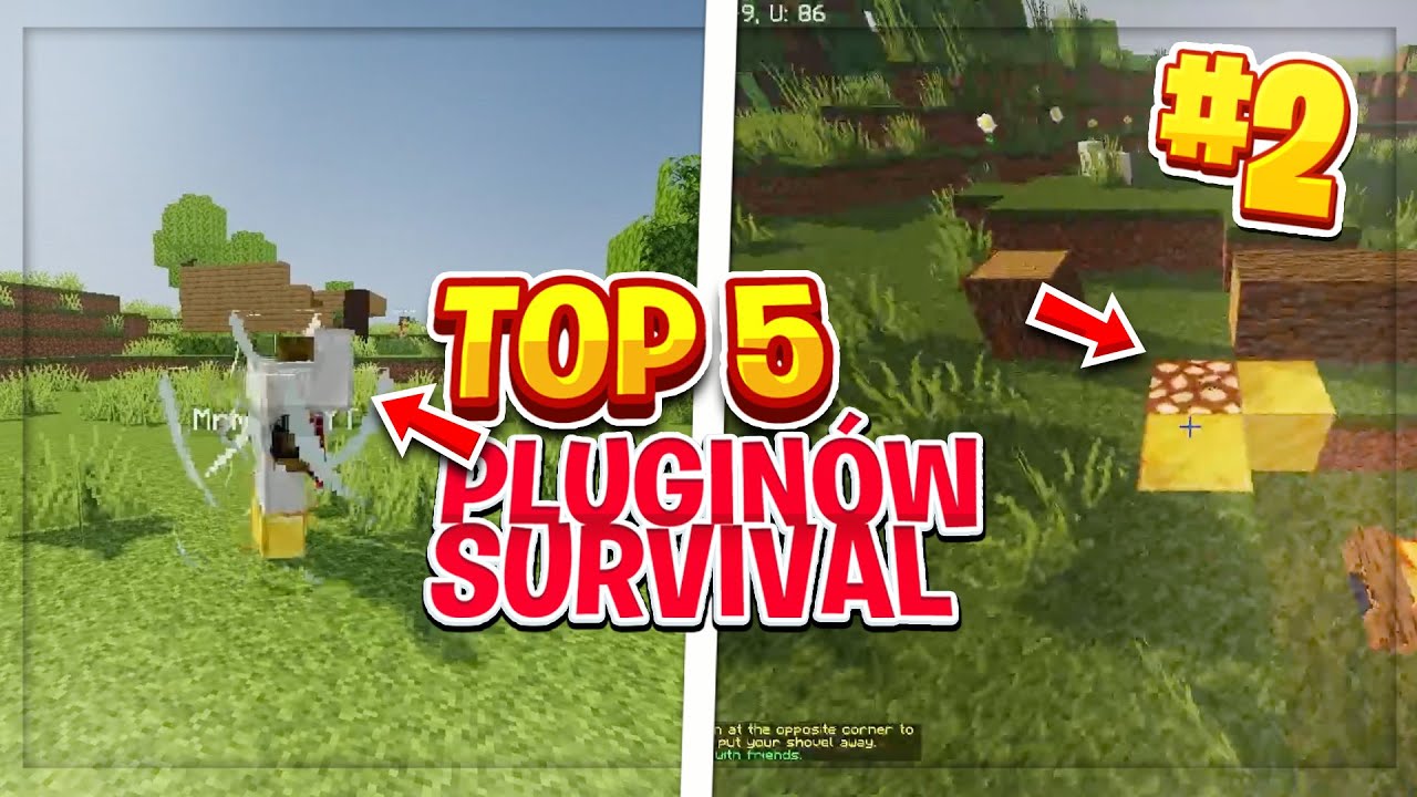 TOP 5 pluginów minecraft na serwer survival 1.19