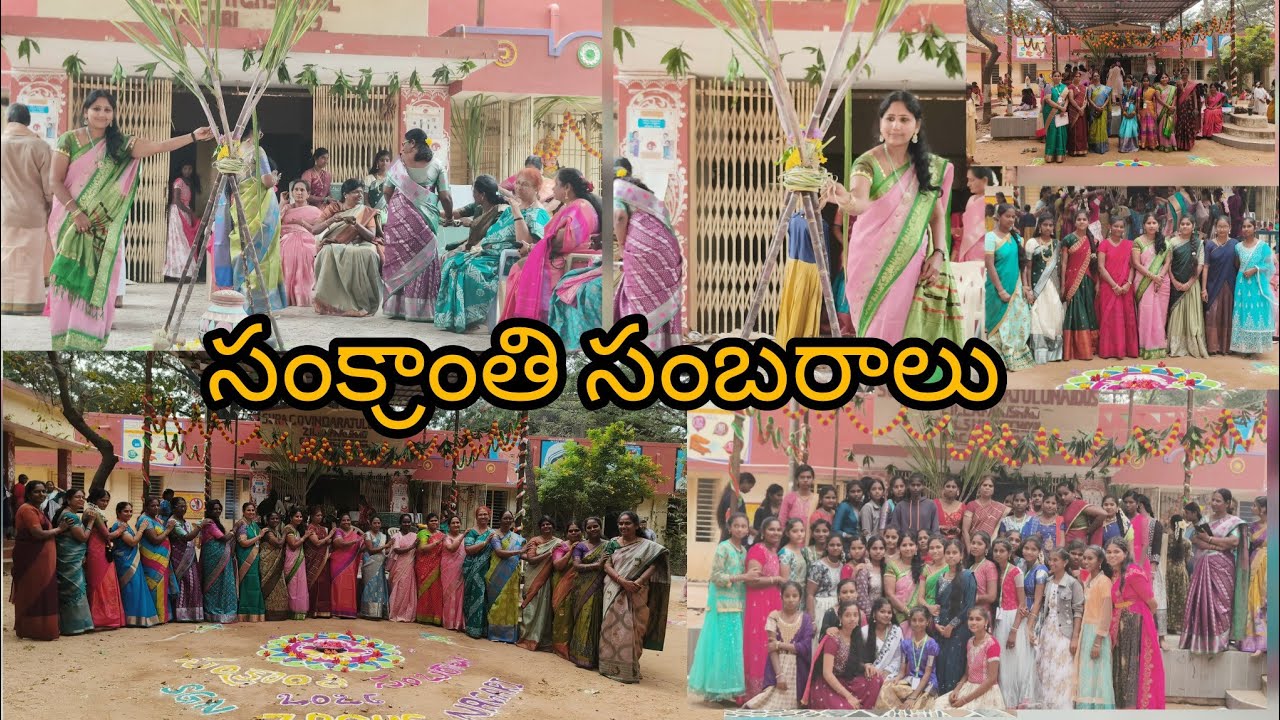 సంక్రాంతి సంబరాలు / School function / Sankrathi celebration in my school / Sankrathi 