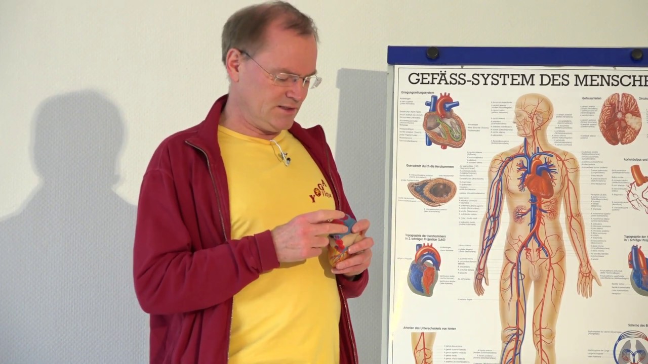 Yoga bei koronarer Herzkrankheit - Yoga hilft