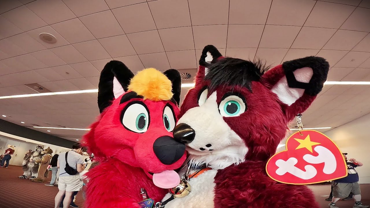 Anthrocon 2025 || So much FUZZ!!