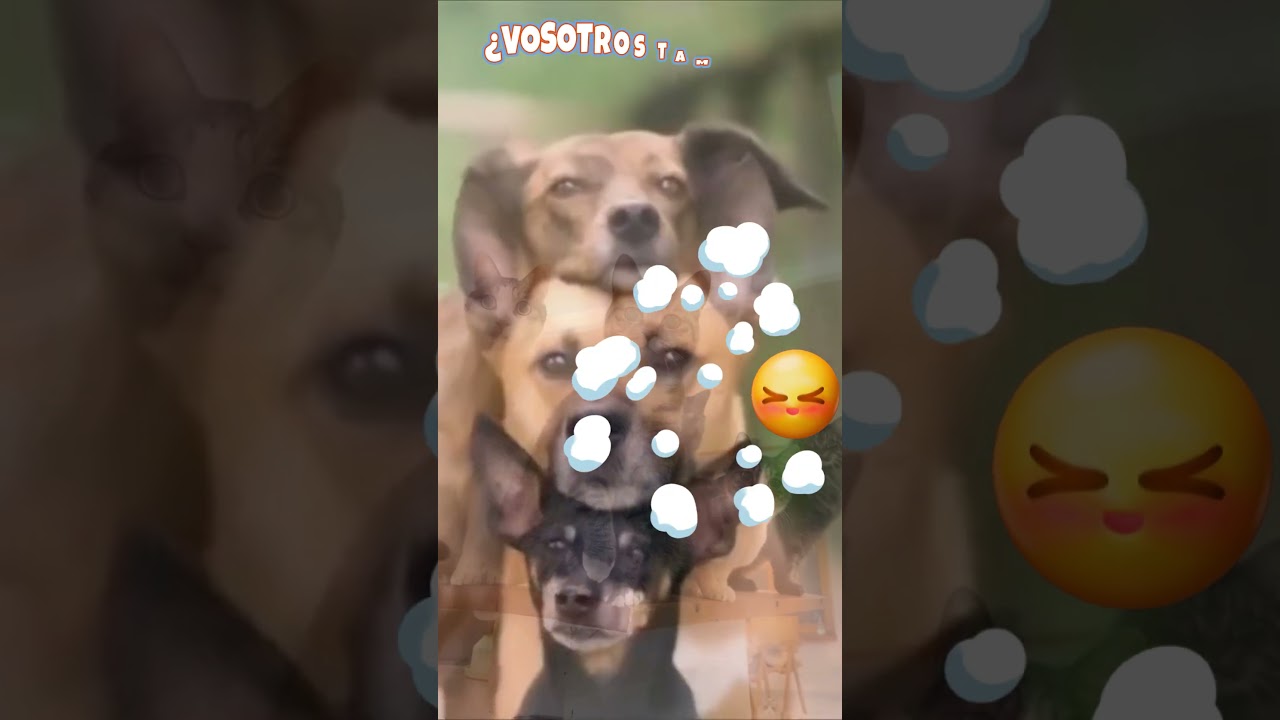 😲 Atentos&hellip; jueves Sorpresa ⏰