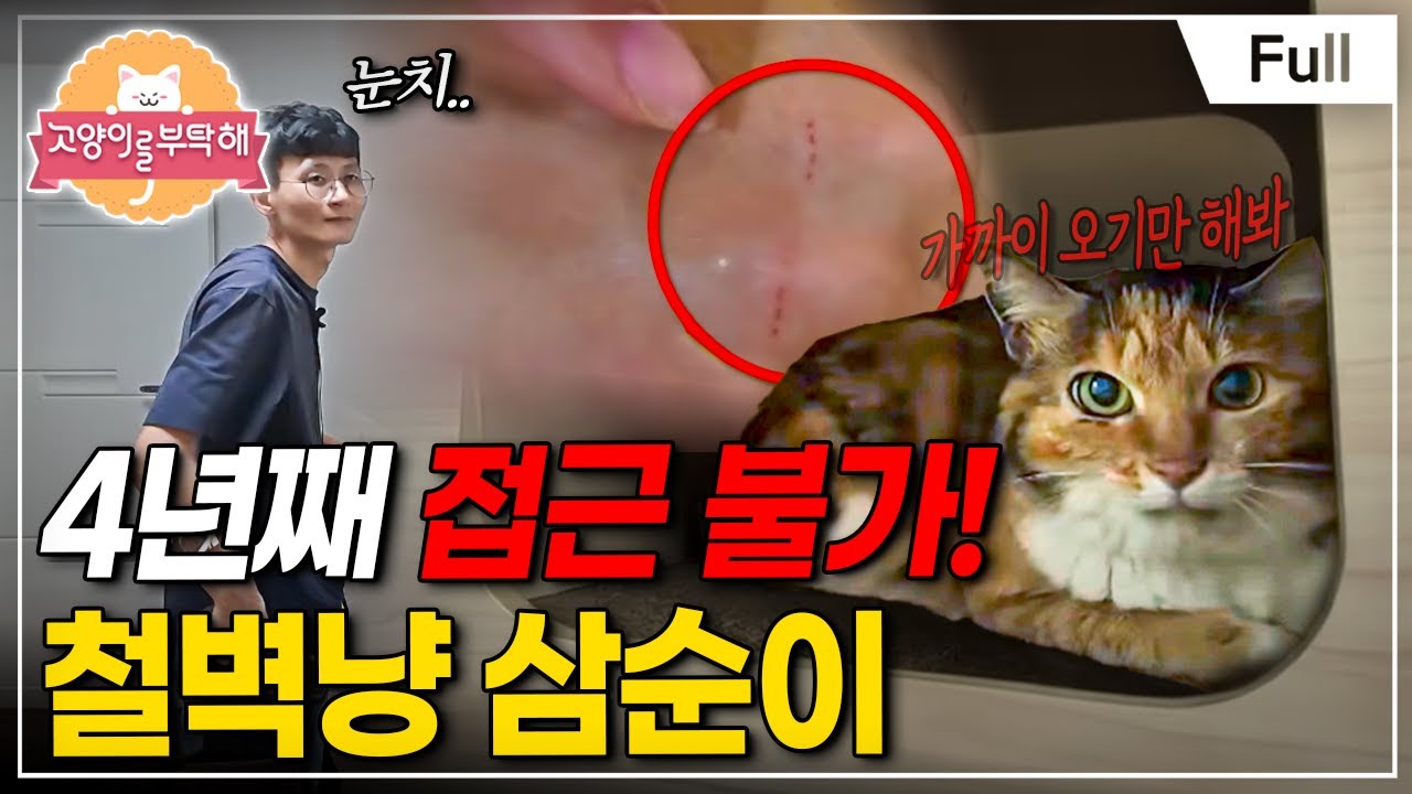 [Full] 고양이를 부탁해 - 4년째 접근 불가! 철벽냥 삼순이