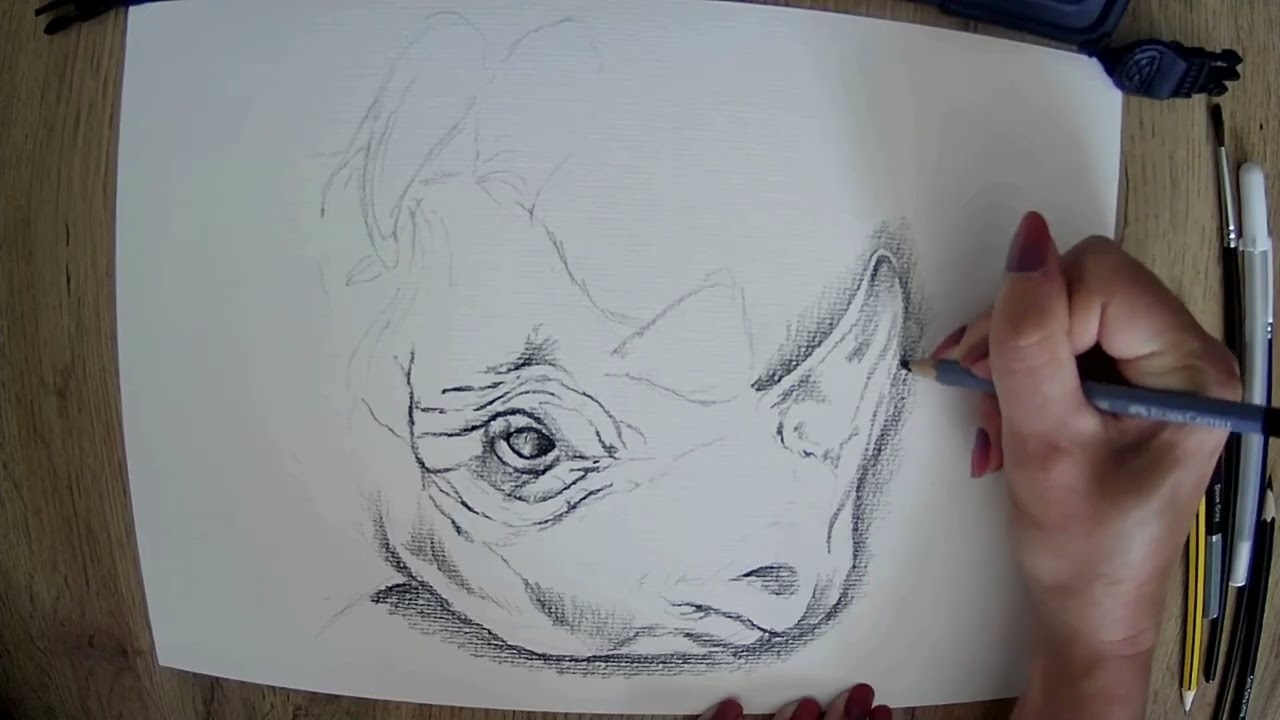 Drawalong with Pip - Great Rhino