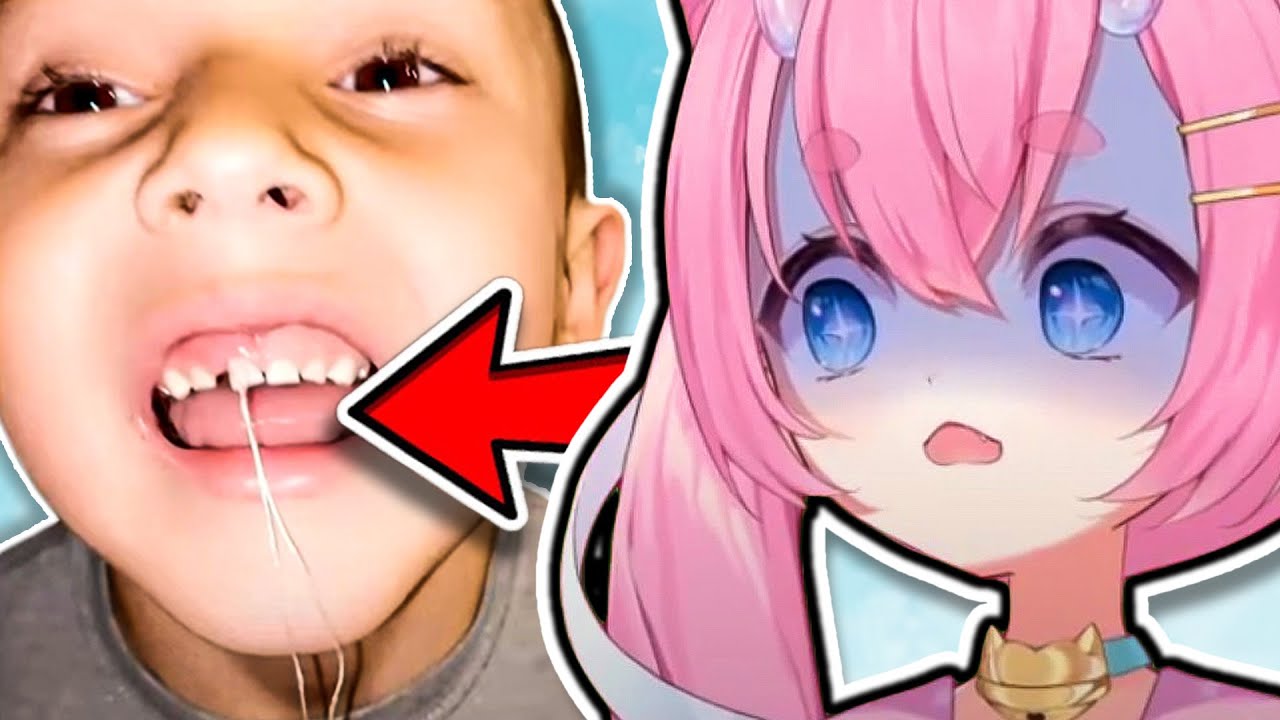Chibi Reacts To Daily Dose of Internet!