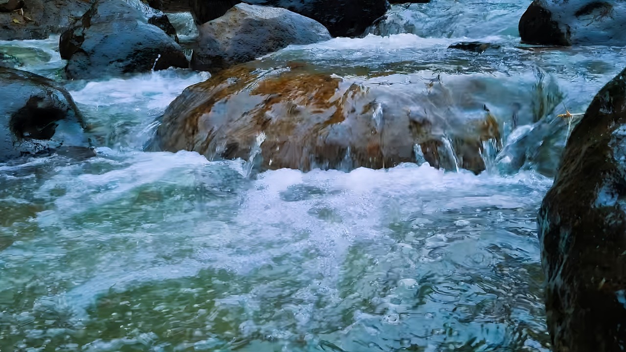 Relaxing River Water Flow and Bird Sounds for Deep Sleep, Study Focus, Insomnia & Meditation
