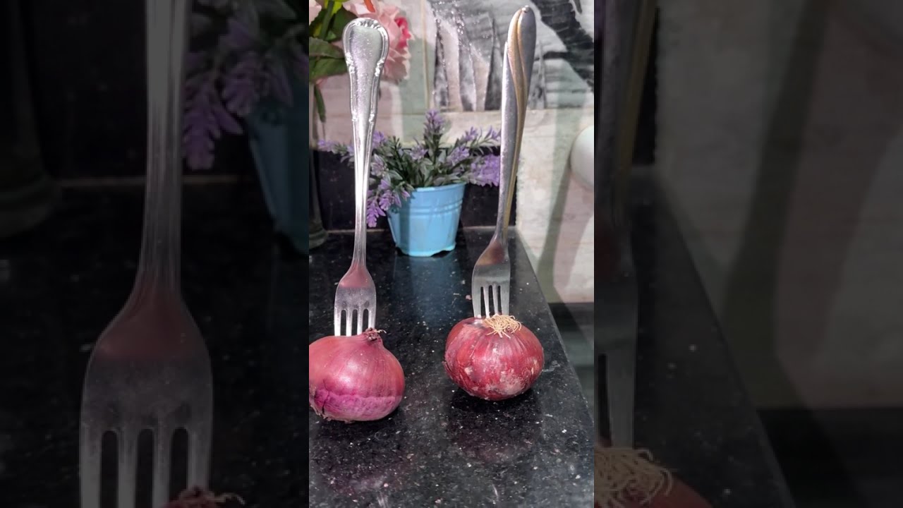 الله يسامح اللي خبي علينا الفكره دي 😲 هترجعي تقفي غطعلي رجلك من تاني#وصفات  