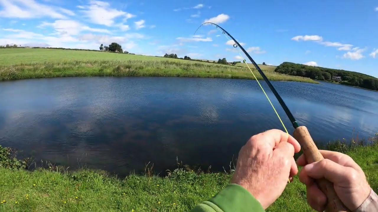 Video #33 - Dam Busting Damsels  #rainbowtrout #flyfishingjunkie #troutbum