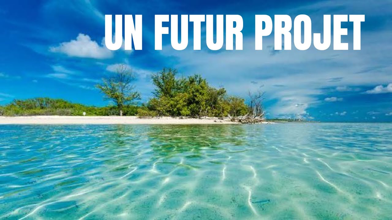 UN FUTUR PROJET ⛵️ On revient sur Cannes Episode 30 Les aventures en VOILIER