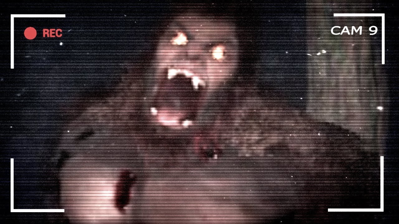 6 Nocy z BIGFOOTEM