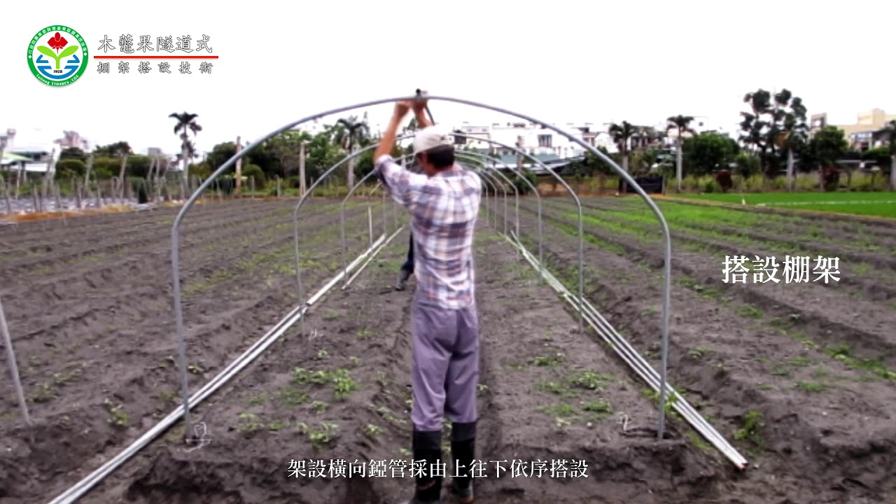 木虌果隧道式棚架搭設技術