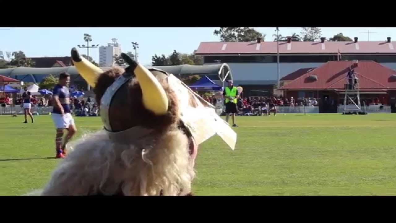 Final 2015 Churchie Viking Video