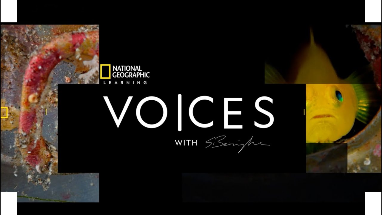 Voices, with Executive Editor Sean Bermingham