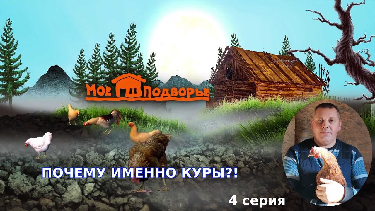 ПОЧЕМУ ИМЕННО КУРЫ!? 
