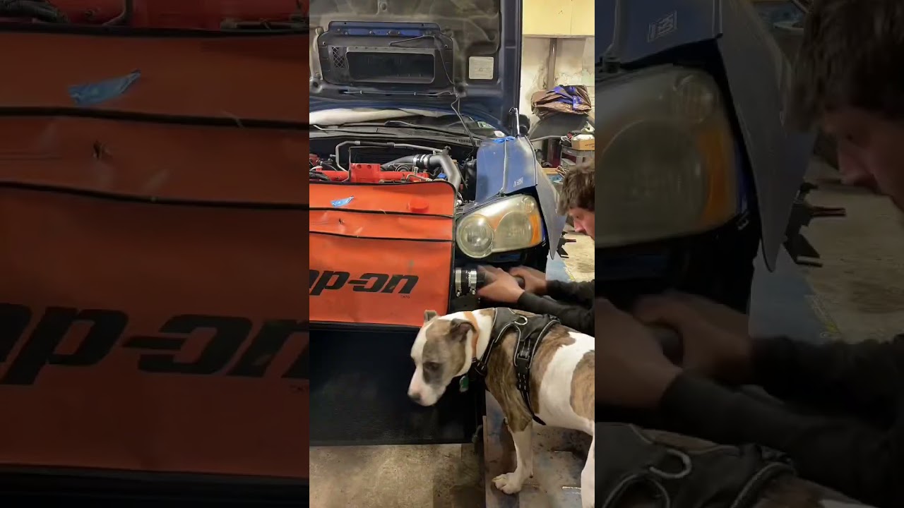 #subaru #wrx #sti #blobeye #built  #shortsvideo