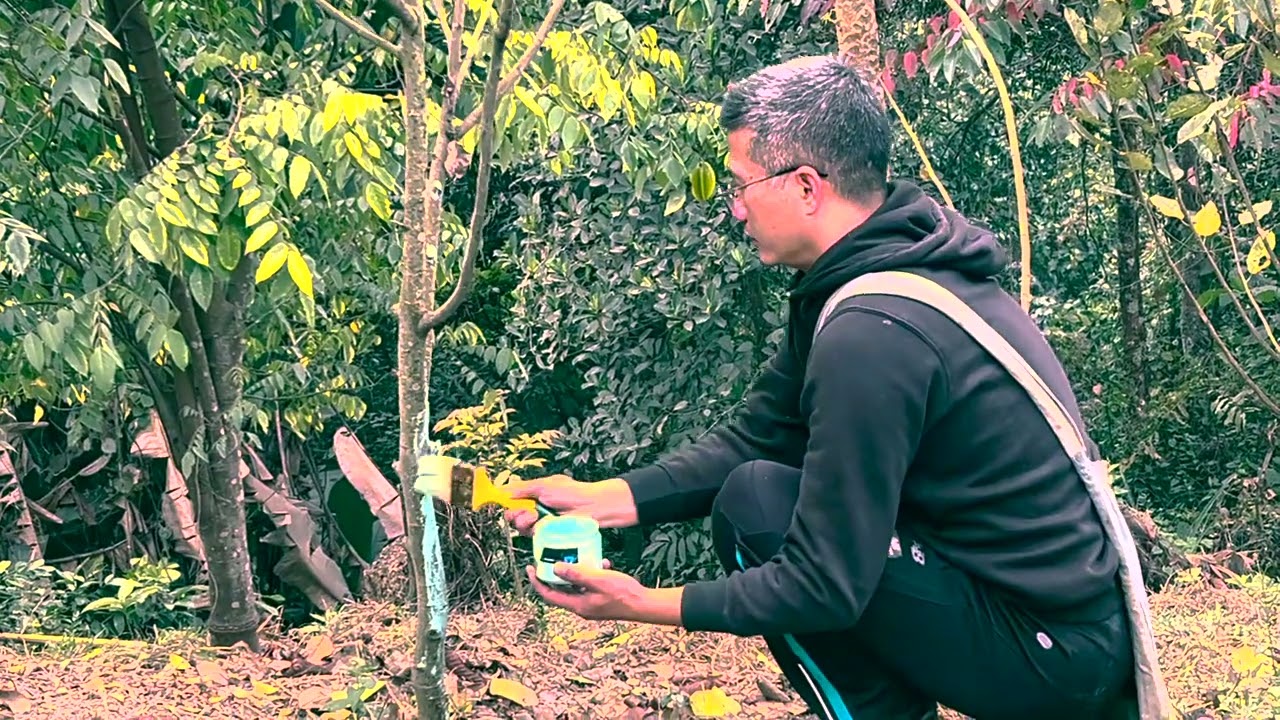 Apple (Low Chilling Variety) Enkawl Dan/Cut Leh Leitha Pek Dan