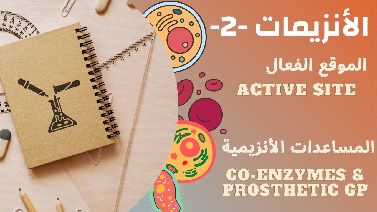 Enzymes -2- (specificity, active site, structure & mechanism) - شرح الأنزيمات بالعربي