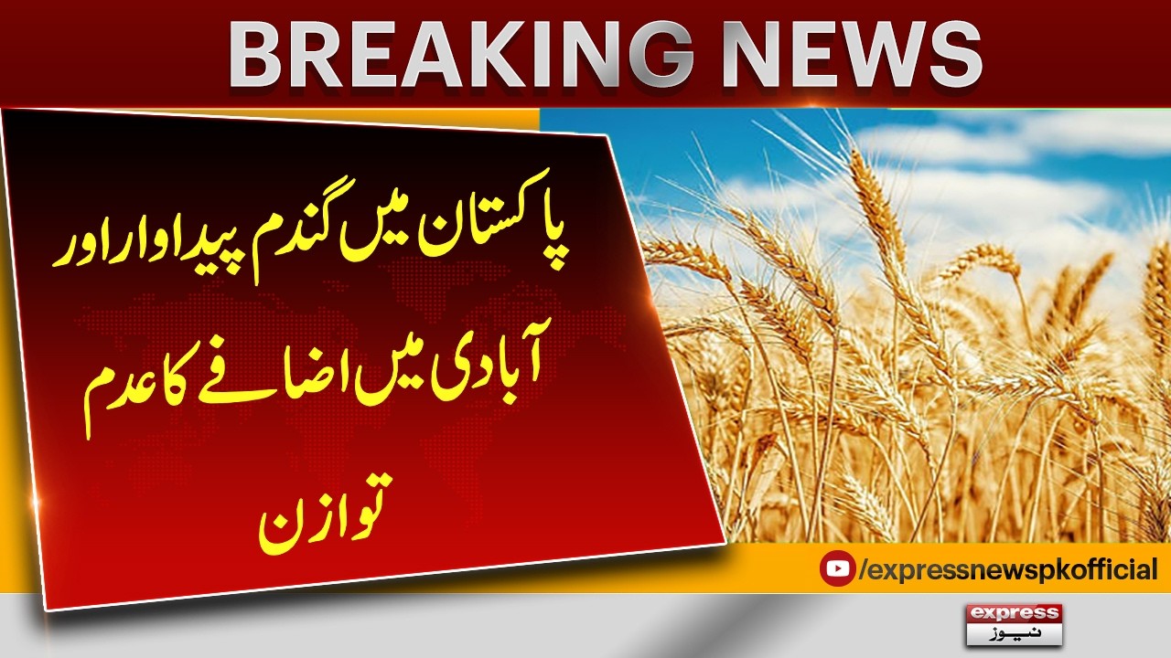 Pakistan Faces Wheat Production Crisis as Population Growth Outpaces Supply | Pakistan News