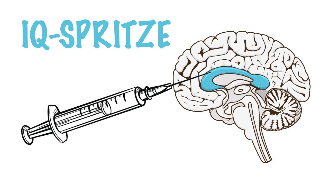 Wie viel intelligenter kannst Du werden?