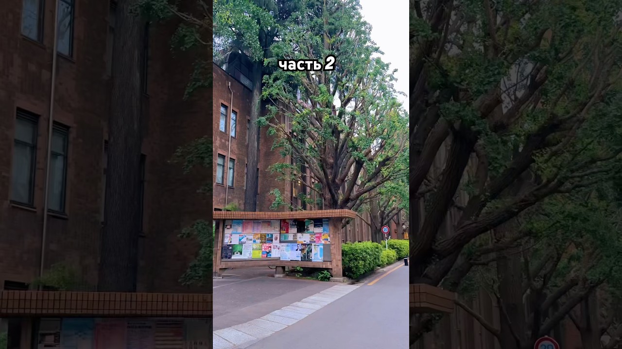 часть 2. мы добрались до нашей цели, Токийского университета #carolinekingschwarz