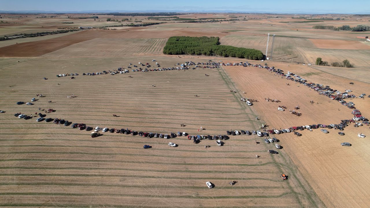 ENCIERRO CAMPESTRE, OCTUBRE 2022. Matilla de Arzón (Zamora)