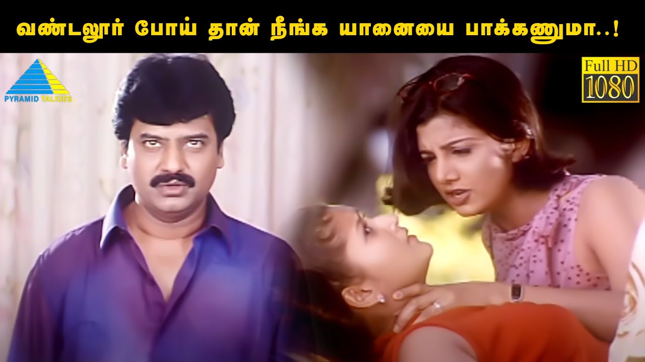 வண்டலூர் போய் தான் நீங்க யானையை பாக்கணுமா..! | Three Roses Movie Compilation | Jyothika | Rambha