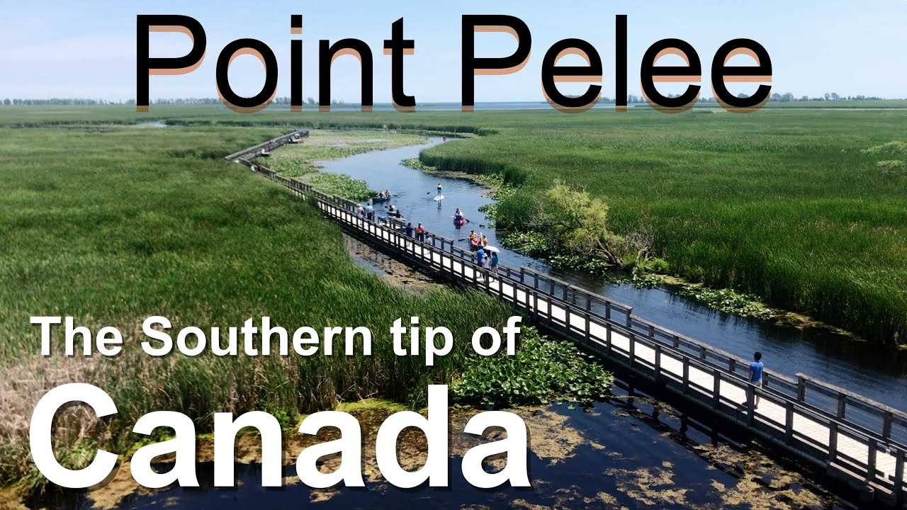 Point Pelee National Park 4K