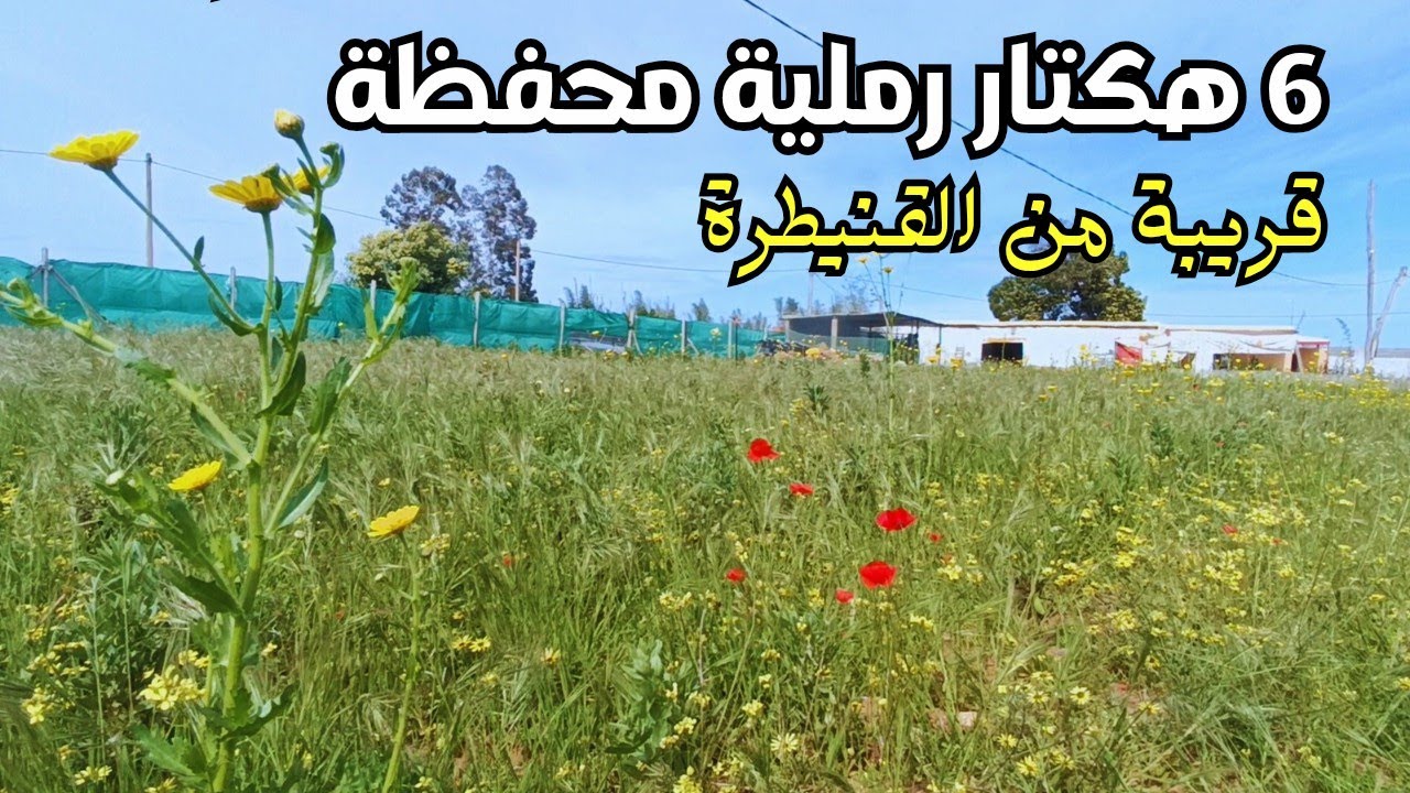 6 هكتار رملية محفظة على طريق معبدة قريبة من القنيطرة و سيدي علال البحراوي