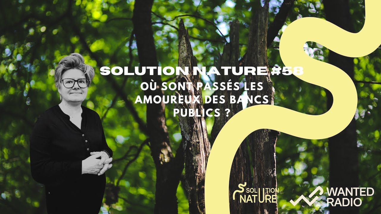 SOLUTION NATURE #58 : OÙ SONT PASSÉS LES AMOUREUX DES BANCS PUBLICS