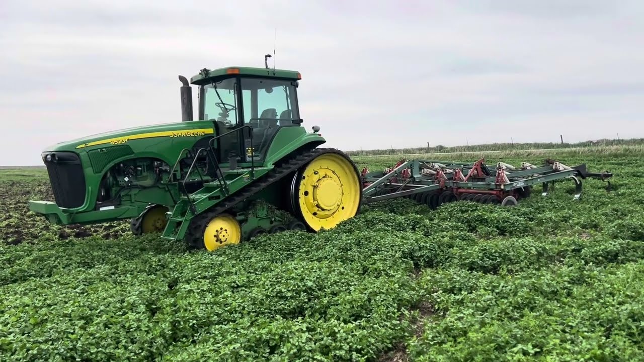 Chiseling Red Clover ahead of Organic Corn!
