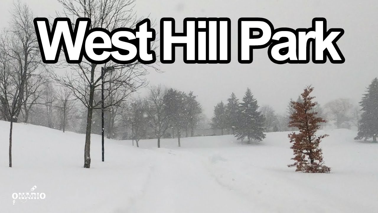 🌲 The Most Underrated Park in Scarborough! ❄️ Winter Wonderland at West Hill Park 🇨🇦✨