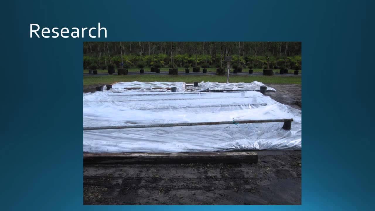 Recycling Used Potting Soil with Solarization