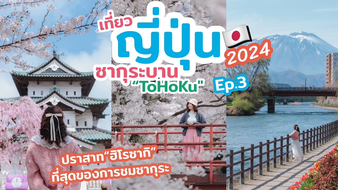 เที่ยวญี่ปุ่น ช่วงซากุระบาน โซนโทโฮคุ ปราสาทฮิโรซากิ และ แม่น้ำ Kannonji River ซากุระสวยมากๆ | EP.3
