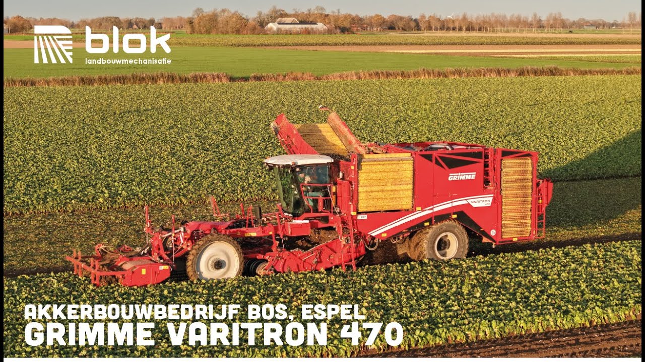 Witlofpennen rooien met GRIMME Varitron | Akkerbouwbedrijf Bos, Espel