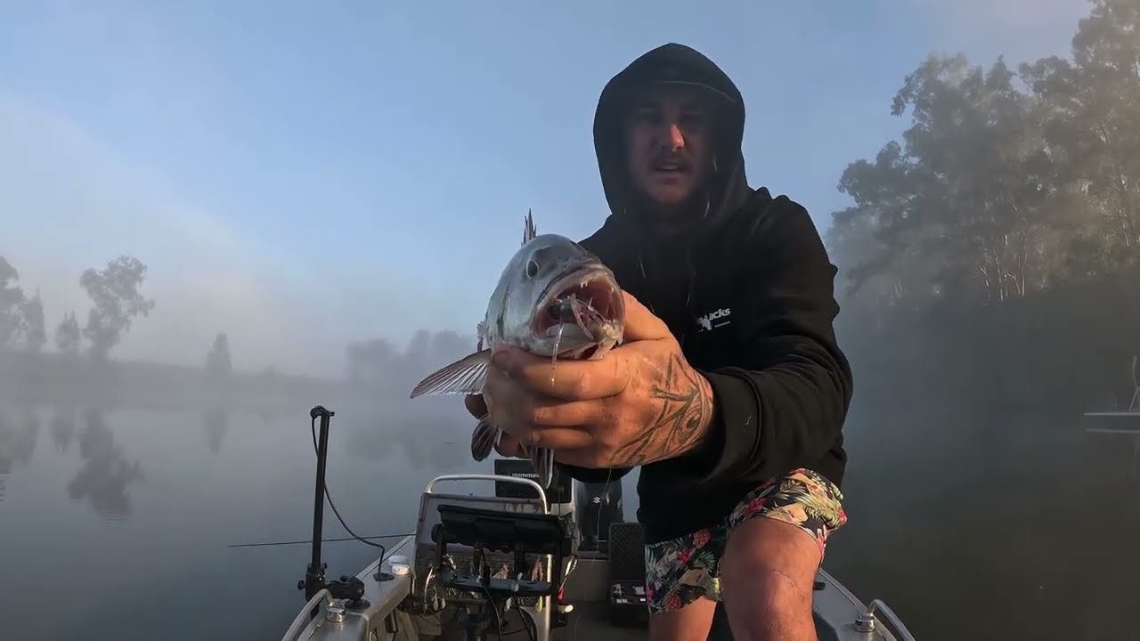 (THE LOCAL IS FIRING!) fishing the Maroochy River