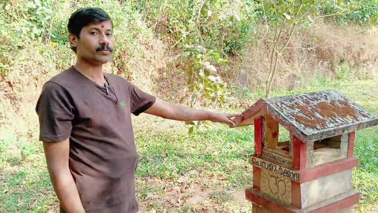 ചാമുണ്ടിക്കുന്ന്‌ തുമ്പോടി സ്വാമി മല vlog