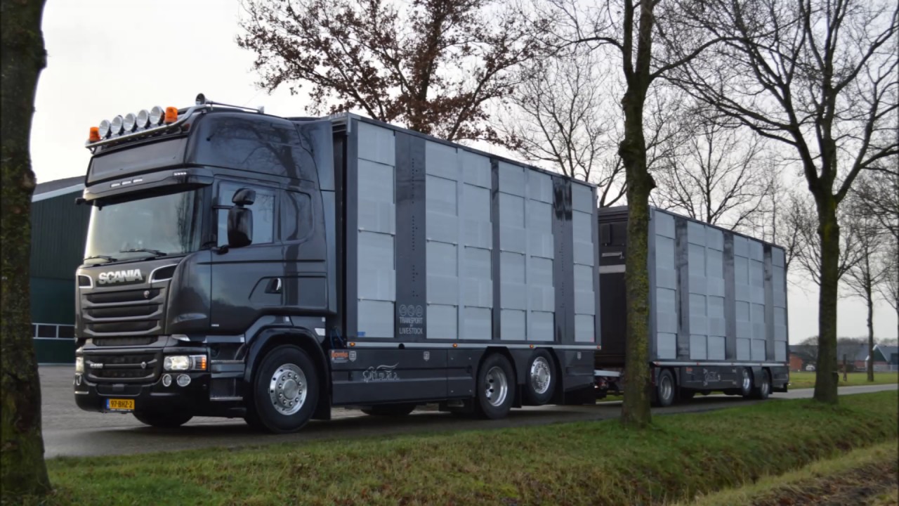 IRMA transport levend vee