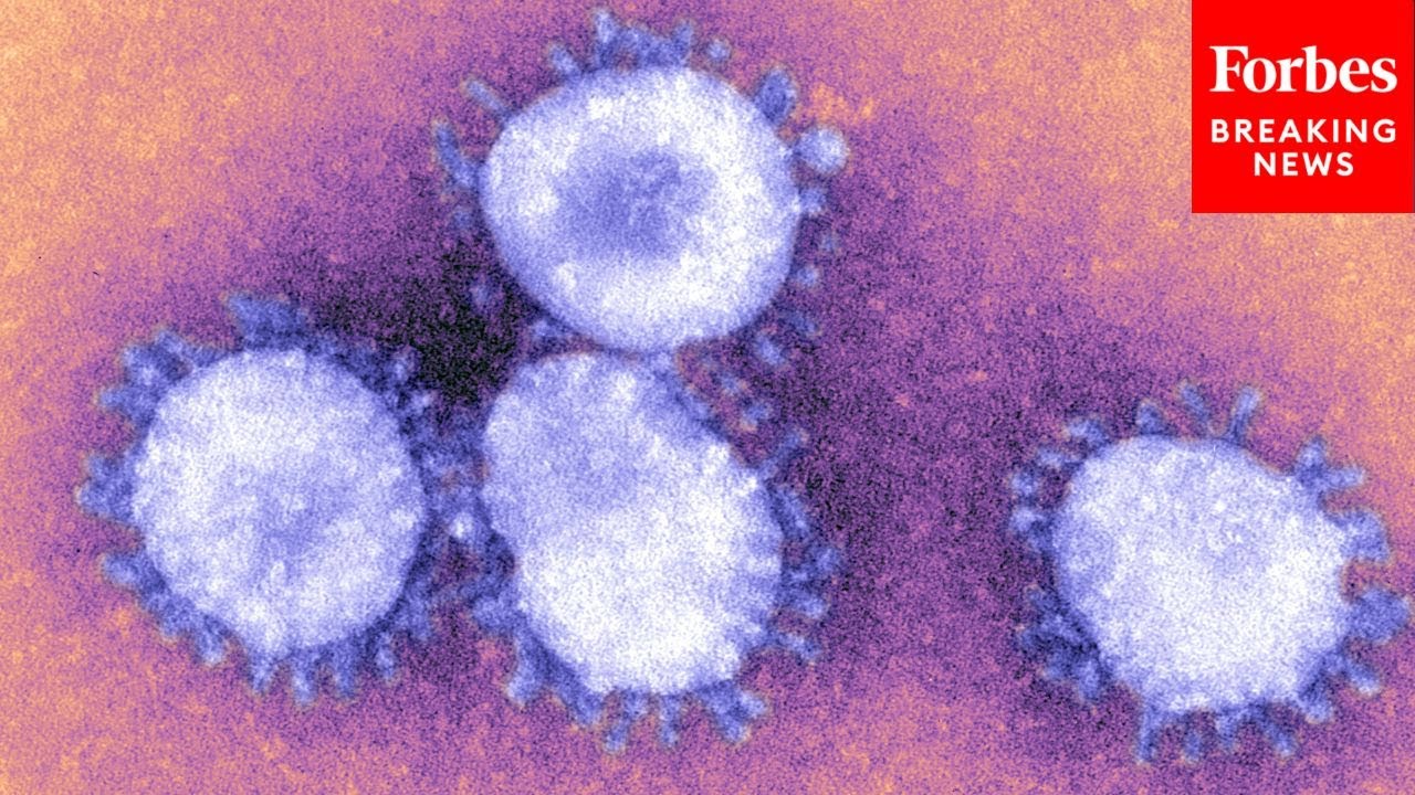 What Is ‘Disease X’? Right-Wing Circles Slam Hypothetical Pandemic