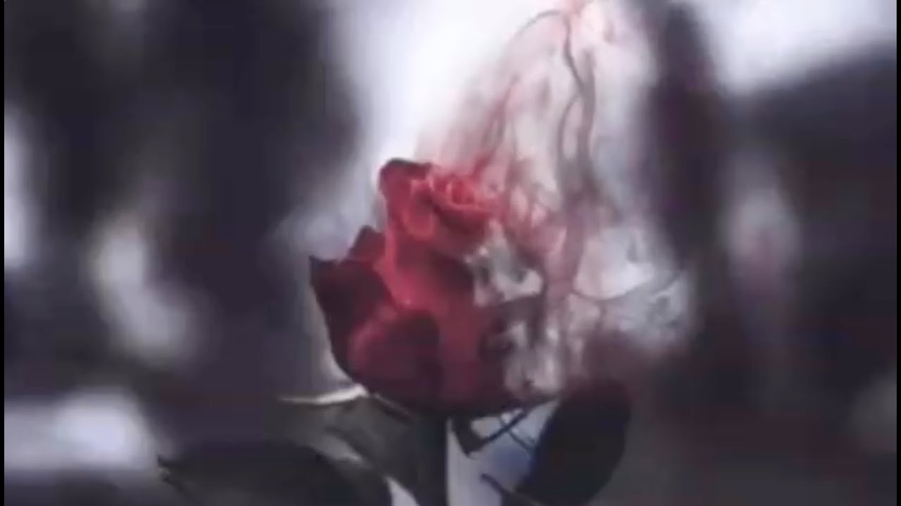 💖Роберт Катчиев  