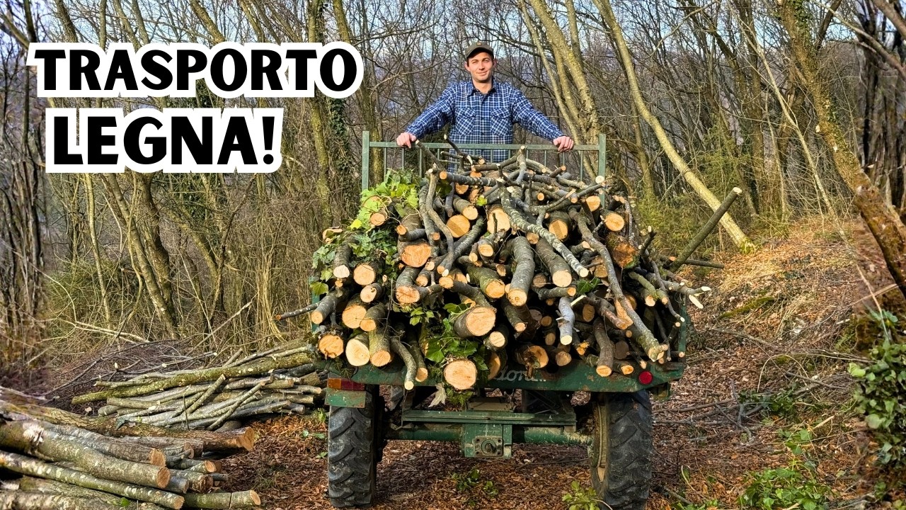 Portiamo fuori la LEGNA dal BOSCO! | Finetti (VR) | EP. 4