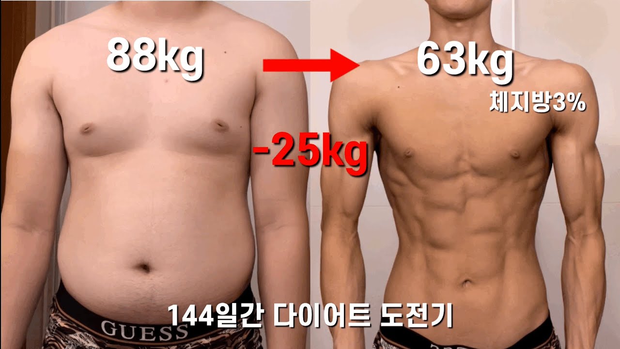 나의 다이어트 이야기(ft. 함몰유두) 도전은 더 큰 도전을 낳는다 [바디프로필 / 피트니스 대회 입상]
