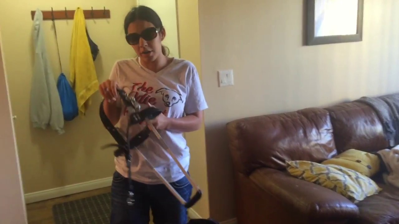 All about Gabby, basic guide dog commands + demonstration