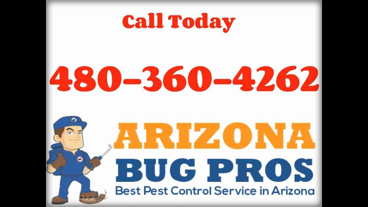 Mouse, Rat, Rodent Removal Glendale, AZ (480)360-4262