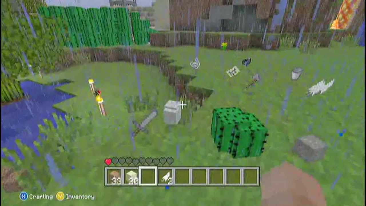 Another Minecraft Troll On DaTrueAznKid