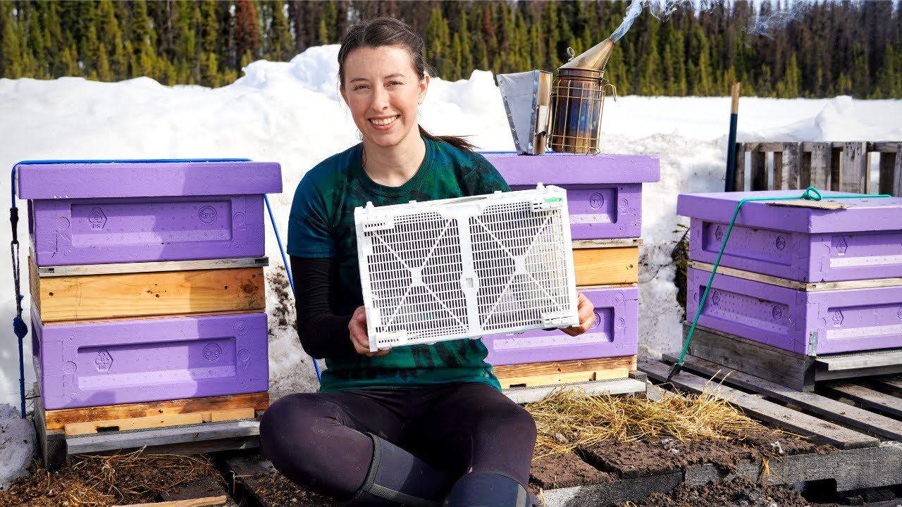 Our Bees Survived Winter in the North