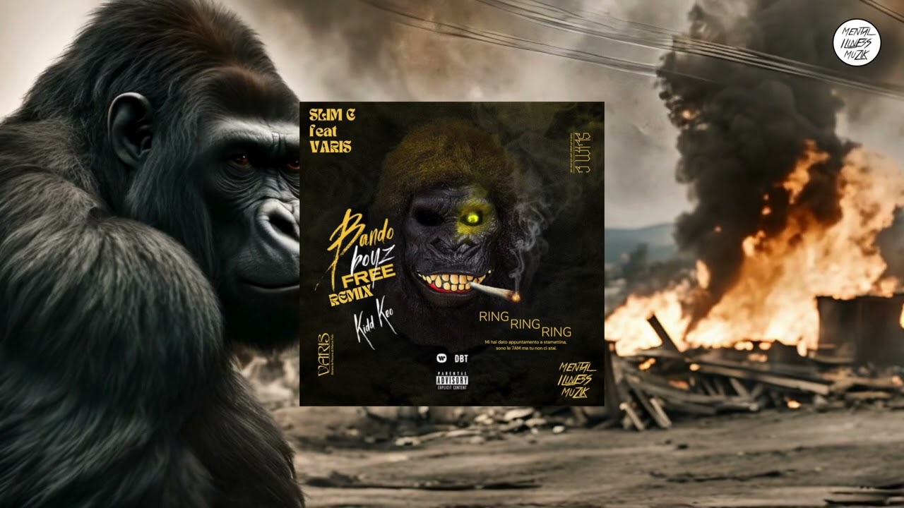 Slim C feat Varis - Bando Boyz (Remix)